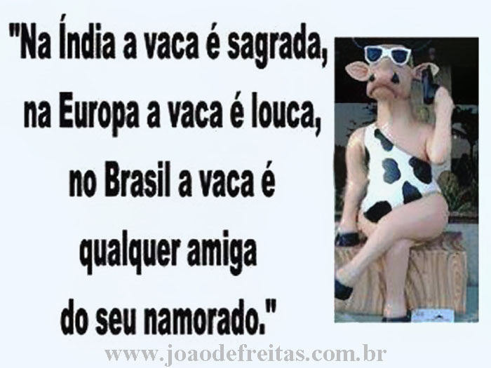 Na ndia, a vaca  sagrada; na Europa, a vaca  louca; no Brasil, a vaca  qualquer amiga do seu namorado